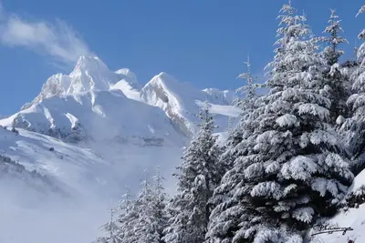 Residencial La Moleta en invierno
