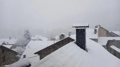Borén muntanyes i neu en invierno