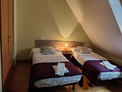 Cama o camas de una habitación en Apartamento Aran isaba