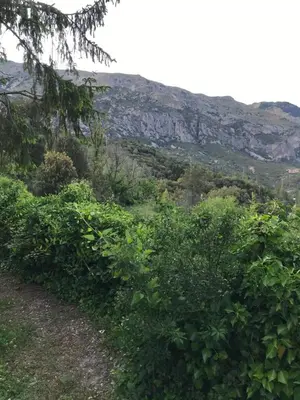Paisaje cerca de esta casa o chalet