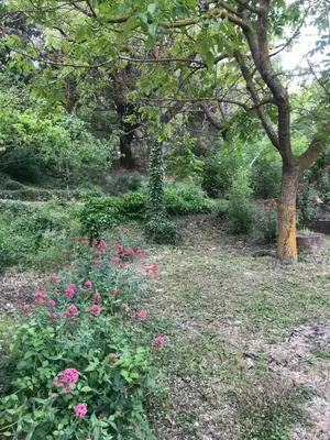 Jardín al aire libre en La CasetaBlanca del Toscar