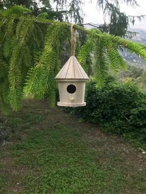 Jardín al aire libre en La CasetaBlanca del Toscar