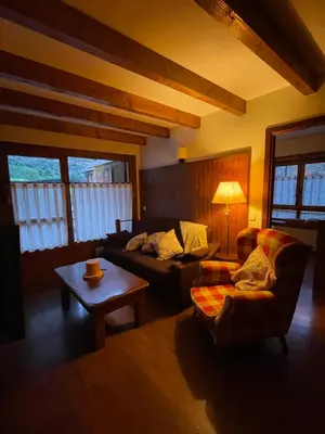 Zona de estar de APARTAMENT ESTERRI D'ÀNEU - EDIFICI MONTARDO