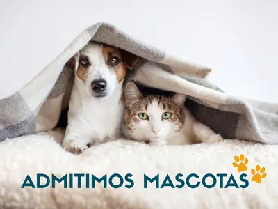 Plano de Bungalows y Cabanas SOLOPUENT Natur