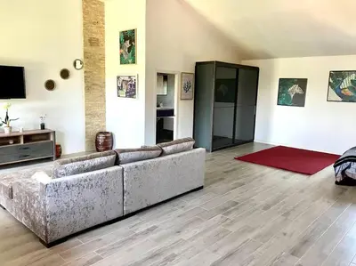 Una televisión o centro de entretenimiento en Exclusivo Loft en Zaragoza-2