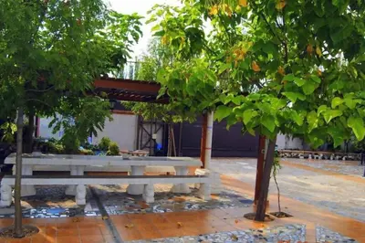 Jardín al aire libre en Exclusivo Loft en Zaragoza-2
