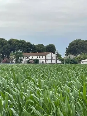 Paisaje cerca de este apartamento