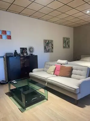 Zona de estar de Exclusivo Loft en Zaragoza-5