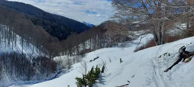 Casa Isabel en invierno