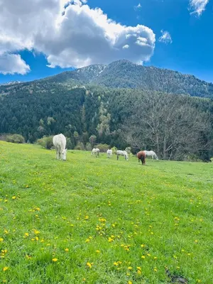 Paisaje cerca de este hotel