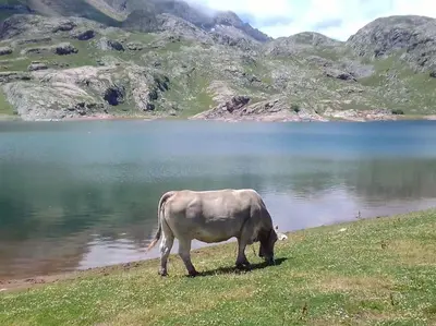 Paisaje cerca de este apartamento