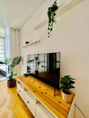 Una televisión o centro de entretenimiento en El Elefante del Pilar