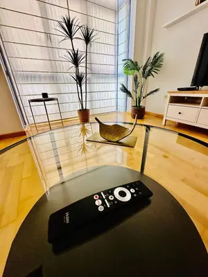 Una televisión o centro de entretenimiento en El Elefante del Pilar