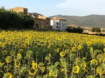 Paisaje cerca de esta casa o chalet