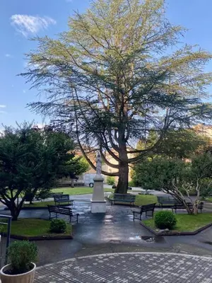 Jardín al aire libre en Residencia Sagrada Familia