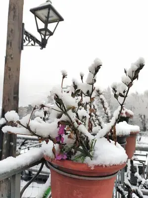 Magi, Casa rural con encanto para familias y amigos en invierno