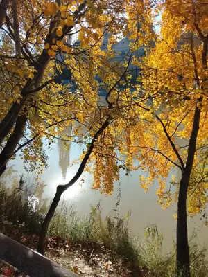 Paisaje cerca de este apartamento
