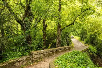 Paisaje cerca de este apartamento