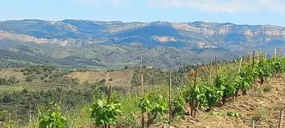 Paisaje cerca de esta casa o chalet