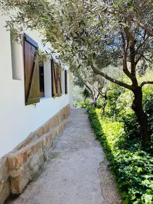 Jardín al aire libre en Villa Jardines de Guara