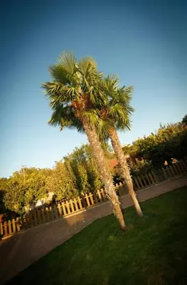 Jardín al aire libre en La Cabana