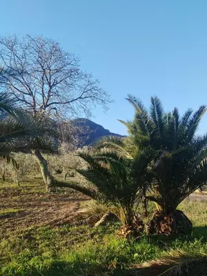 Paisaje cerca de este apartamento