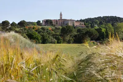 Paisaje cerca de este hotel
