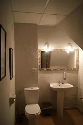 Un baño de Ave Fénix