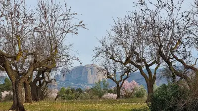 Paisaje cerca de esta casa o chalet