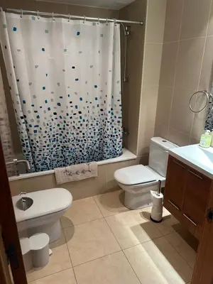 Un baño de Apartamentos L'Ainsa