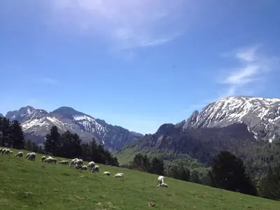 Paisaje cerca de este hostal o pensión