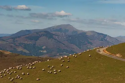 Paisaje cerca of this country house