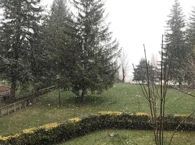 Jardín al aire libre en Apartamento en Cerler 1F