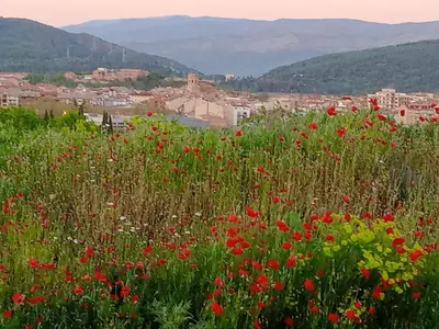 Paisaje cerca de este apartamento