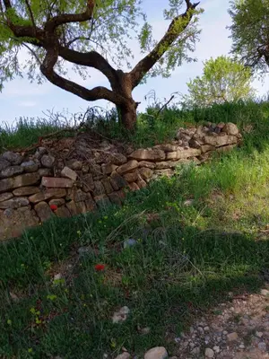Paisaje cerca de este apartamento