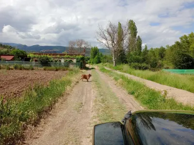 Paisaje cerca de este apartamento