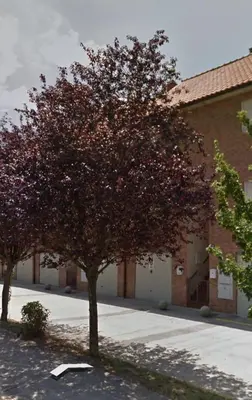 Edificio en el que se encuentra la casa o chalet