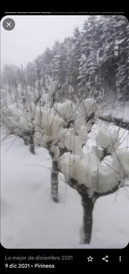 Somport bienvenidos a Canfranc Family en invierno