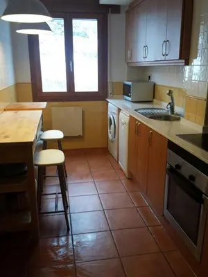 Una cocina o zona de cocina en Apartamento Bielsa-Monte Pérdido