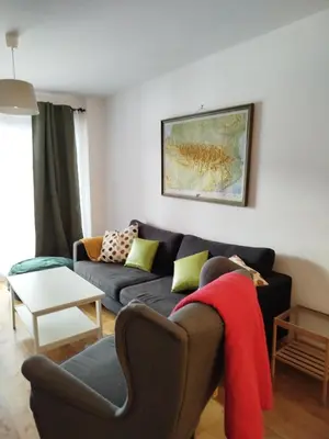 Zona de estar de Apartamento en Panticosa