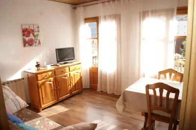 Una televisión o centro de entretenimiento en Apartaments Pont Romànic