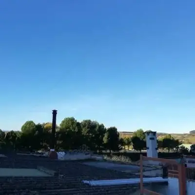 Resaenea