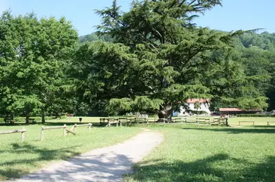 Paisaje cerca de este apartamento