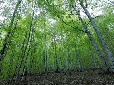 Paisaje cerca de este apartamento