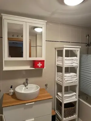 Un baño de Apartamento Villanua centro