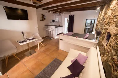 Una cocina o zona de cocina en Espígol Priorat - apartamento estudio