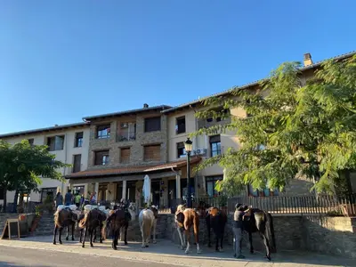 Animales en el hotel o alrededores