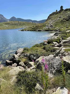 Paisaje cerca de este apartamento