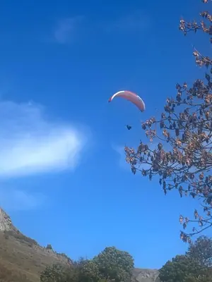 Paisaje cerca de este apartamento