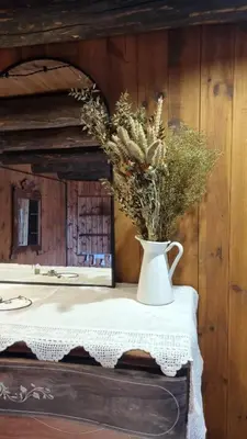 Plano de Casa Rústica y Chic con Chimenea y Vistas Panorámicas de La Vall de Boí